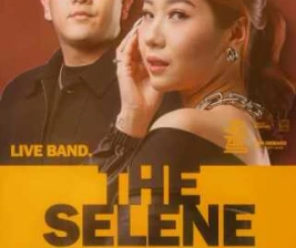 OWL PIK JAKARTA  WEDNESDAY