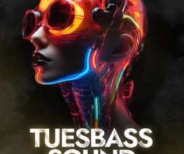 TIFFANEY BAR LOUNGE  KTV BEKASI  TUESBASS SOUND