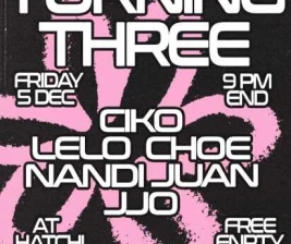 HATCHI PONDOK INDAH JAKARTA  TURNING THREE