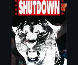 HATCHI PONDOK INDAH JAKARTA  SHUTDOWN