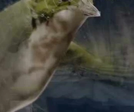 STALK SCBD JAKARTA  DECKLAB