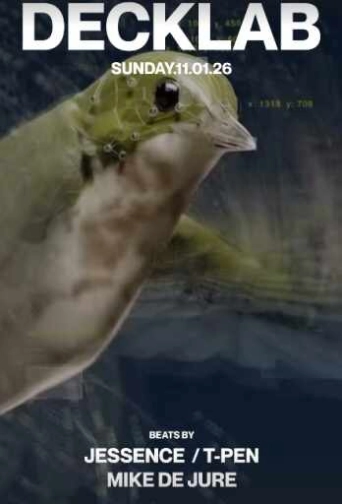 STALK SCBD JAKARTA - DECKLAB