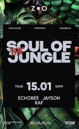 ZOO SCBD JAKARTA - SOUL OF THE JUNGLE