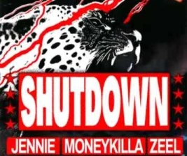 HATCHI PONDOK INDAH JAKARTA  SHUTDOWN