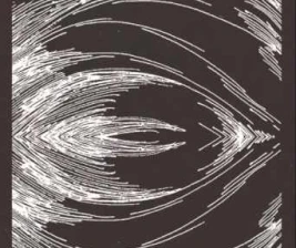 SHAMROCK GANDARIA JAKARTA  SATURDAY