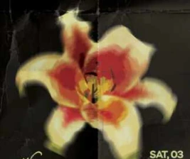 PUERO SENOPATI JAKARTA  FEELS LIKE HOUSE