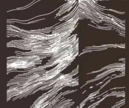 SHAMROCK GANDARIA JAKARTA  SATURDAY