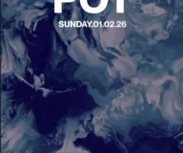 STALK SCBD JAKARTA  MELTING POT