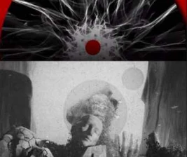 FYNE JAKARTA  CRUSHED VALE