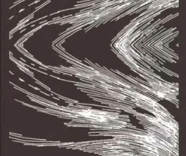 SHAMROCK GANDARIA JAKARTA  SATURDAY