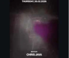 STALK SCBD JAKARTA  UNLEASHED