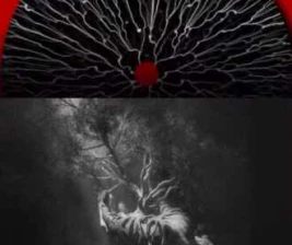 FYNE JAKARTA  MONEY TREES