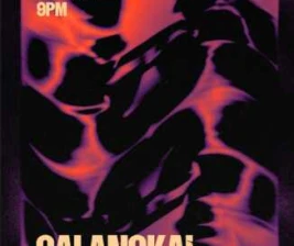 THE SWILL HOUSE SCBD JAKARTA  SATURDAY