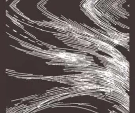 SHAMROCK GANDARIA JAKARTA  SATURDAY