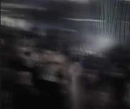 STALK SCBD JAKARTA - BOOMBASSTIC