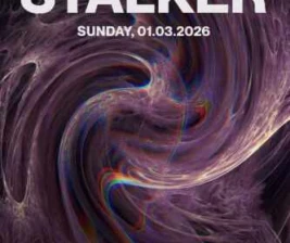 STALK JAKARTA - NIGHT STALKER