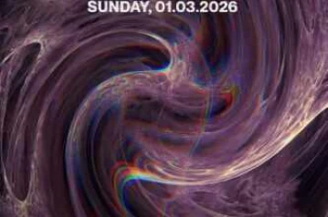 STALK JAKARTA - NIGHT STALKER