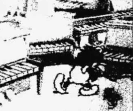 SHAMROCK TEBET JAKARTA - TUESDAY