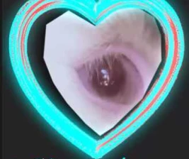 DWNTWN JAKARTA - HEARTBREAK SEASON