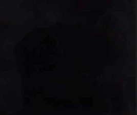 STALK SCBD JAKARTA  UNLEASHED