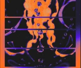 ZOO SCBD JAKARTA  THURSDAY