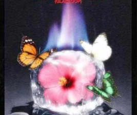 ZODIAC SENOPATI JAKARTA  FRIDAY