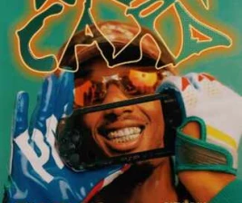 THE SWILL HOUSE SCBD JAKARTA  WIRD CARD