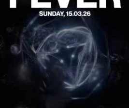 STALK JAKARTA - DISCO FEVER