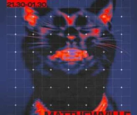 ZOO SCBD JAKARTA  WEDNESDAY