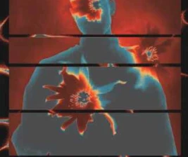 ZOO SCBD JAKARTA - THURSDAY