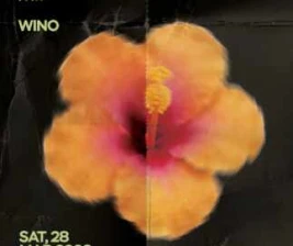 PUERO SENOPATI JAKARTA  FEELS LIKE HOUSE