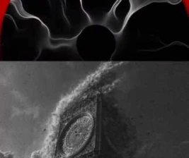 FYNE JAKARTA - ONE MORE TIME