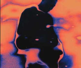 THE SWILL HOUSE SCBD JAKARTA  SUNDAY