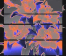 ZOO SCBD JAKARTA  WEDNESDAY