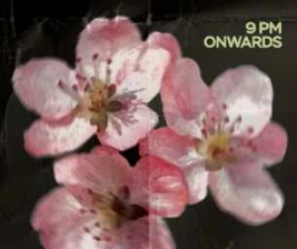 PUERO SENOPATI JAKARTA  FEELS LIKE HOUSE