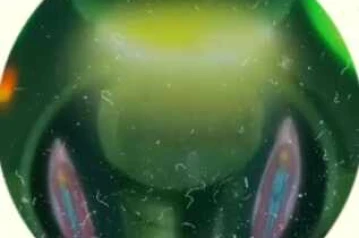 SHAMROCK TEBET JAKARTA - SUNDAY