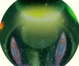 SHAMROCK TEBET JAKARTA - SUNDAY