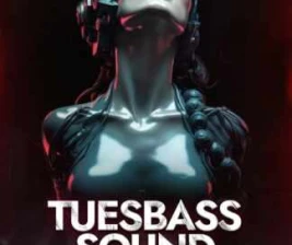 TIFFANEY BAR LOUNGE  KTV BEKASI  TUESBASS SOUND