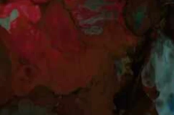 STALK JAKARTA - STALKER