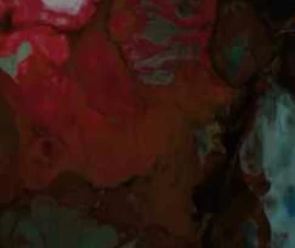 STALK JAKARTA - STALKER