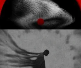 FYNE JAKARTA  OUT OF THE SHADOW