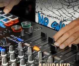 SALTY FISH BAR SCBD JAKARTA  RHYTHM SERVICE