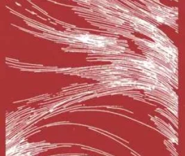 SHAMROCK GANDARIA JAKARTA - SATURDAY