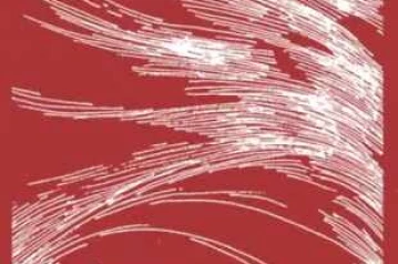 SHAMROCK GANDARIA JAKARTA - SATURDAY