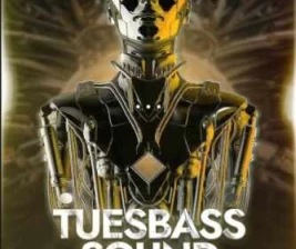 TIFFANEY BAR LOUNGE  KTV BEKASI  TUESBASS SOUND