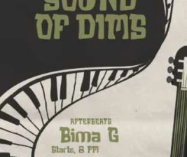 LUCY IN THE SKY SPARK JAKARTA  SOUND OF DIMS