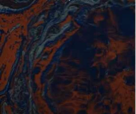 STALK SCBD JAKARTA  MAENRING