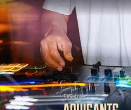 SALTY FISH BAR SCBD JAKARTA  RHYTHM SERVICE