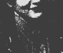 SHAMROCK TEBET JAKARTA  FRIDAY