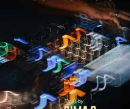 SALTY FISH BAR SCBD JAKARTA  RHYTHM SERVICE